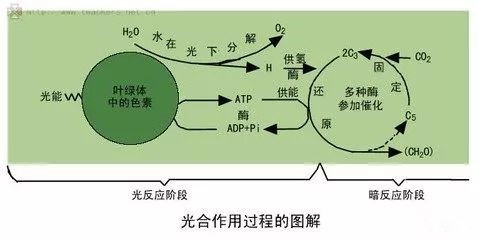 14_副本.jpg